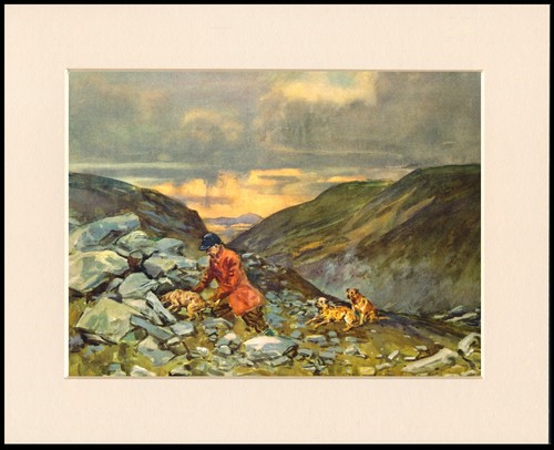 Border terrier dog - border, art