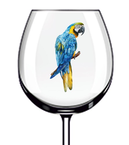 12x blue gold - blue, parrot