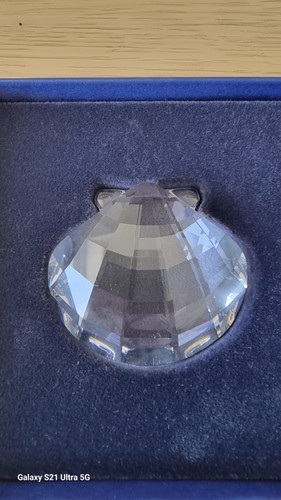 Swarovski 2006 joining - 2006, joining/renewal