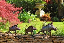 Metal warthog garden ornament - metal,
