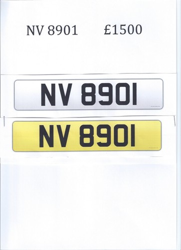 8901 dateless number plate - nv,