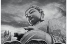 Palm Tree Beach,Bhudda,Paris