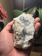 Unique Celestite Geode Nodule