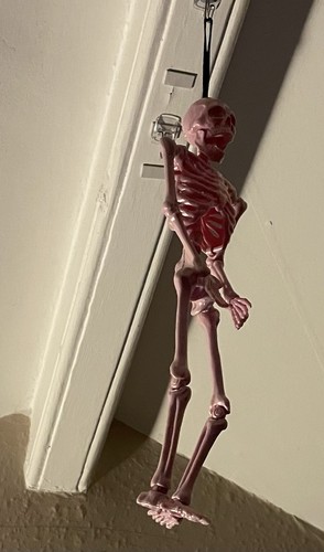 Skeleton