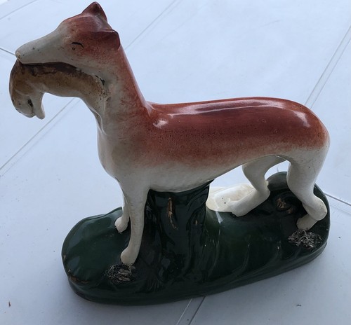 Staffordshire hunting dog - staffordshire,