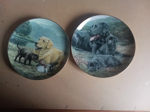 Labrador dog plates - dog, x2