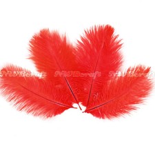 Red Natural Genuine Ostrich Feather Fluffy Costume Craft Party Decor