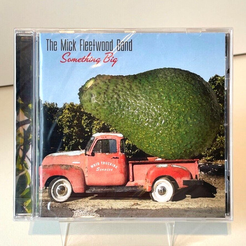 The mick fleetwood - fleetwood, band