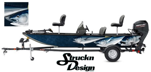 Large albacore tuna swimming - albacore,