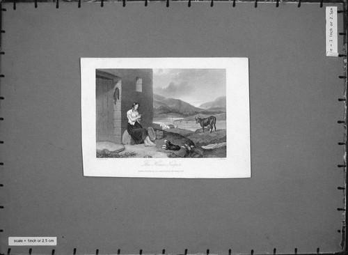 Old antique print - old, animals