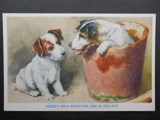 Jack russell puppies - russell, flower