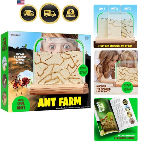 Ant farm kit for kids - -, farms