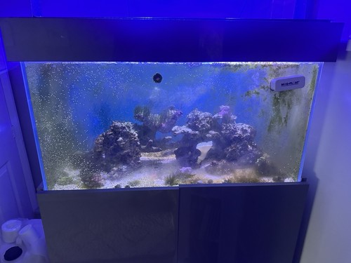 Marine fish tank full - set, up