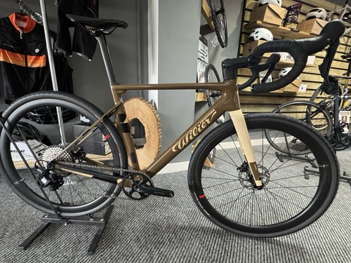 Wilier rave carbon disc - carbon,