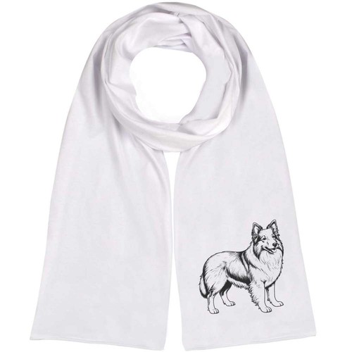 Shetland sheepdog - 'shetland, sheepdog'