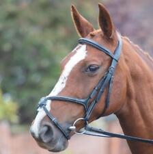 Shires Avignon Grackle Bridle