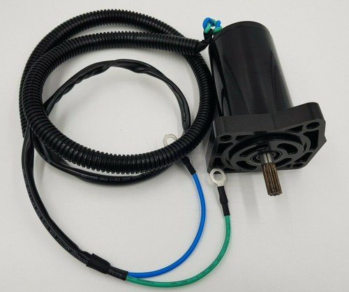 Power trim tilt motor for - tilt,