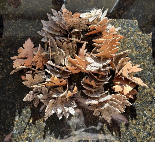 Decorative silver birch bark - silver,