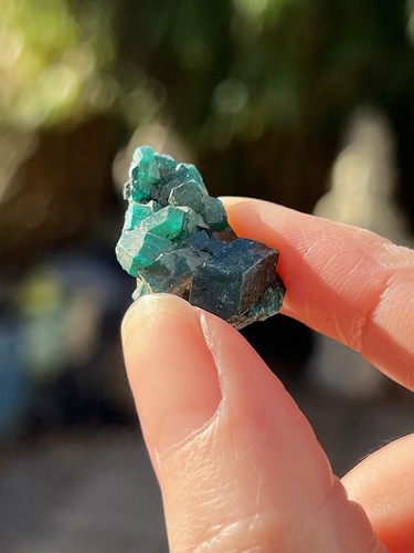 Dioptase crystal gemmy - dioptase,