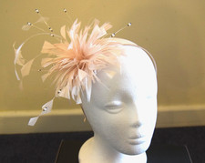 Debut by Debenhams Fascinator