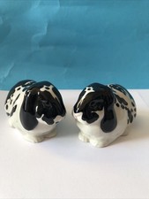 Black/White Floppy Eared Dutch