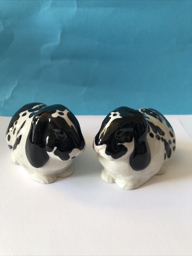 Black white floppy eared - black/white, dutch