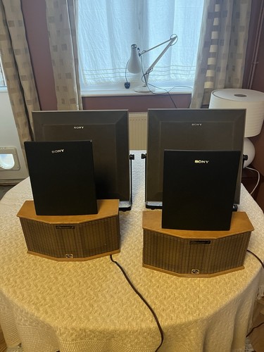 Sony realistic electrostatic - /realistic,