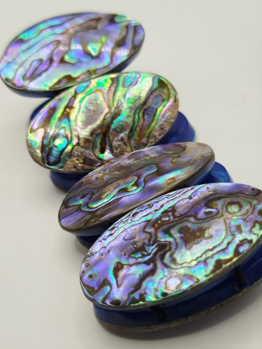 Natural abalone paua shell - natural,