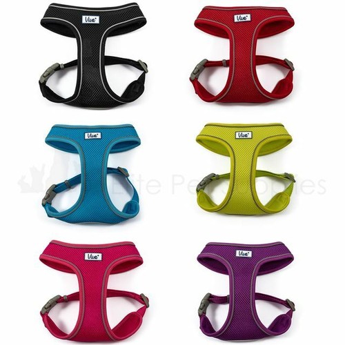 Ancol viva air mesh dog - dog, puppy