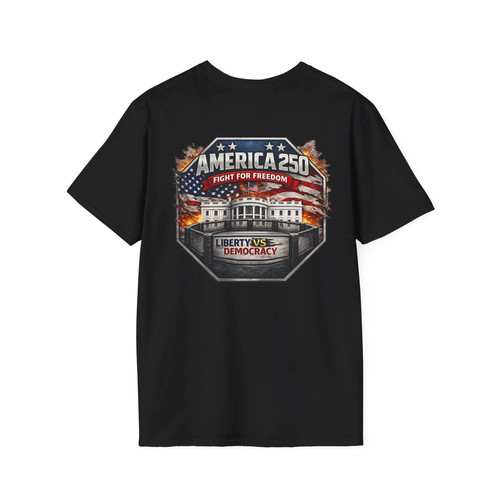 America 250 shirt fight - t-shirt, —