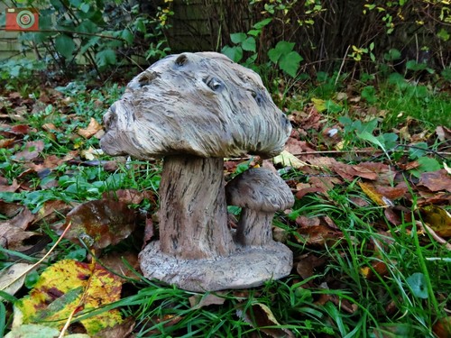 Wood life toadstool home - toadstool, &