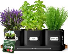 Green Thumbz Herb Pots for