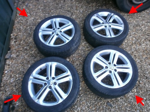 Polo line silver - r, 16"