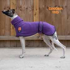 Ginger Ted Greyhound Whippet