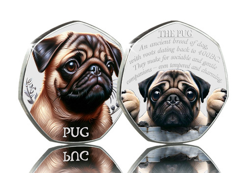 The pug silver - the,