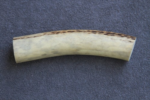 Real red deer - deer, piece