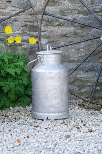 Vintage french milk churn - milk,