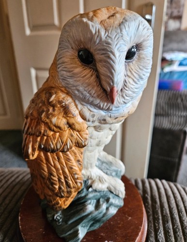 Leonardo collection barn owl - collection,