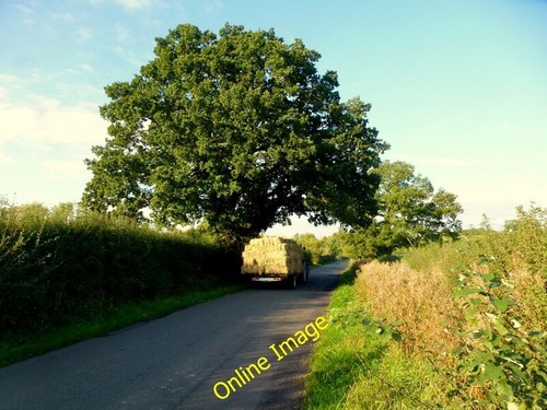 Photo 6x4 tractor with trailer - 6x4,