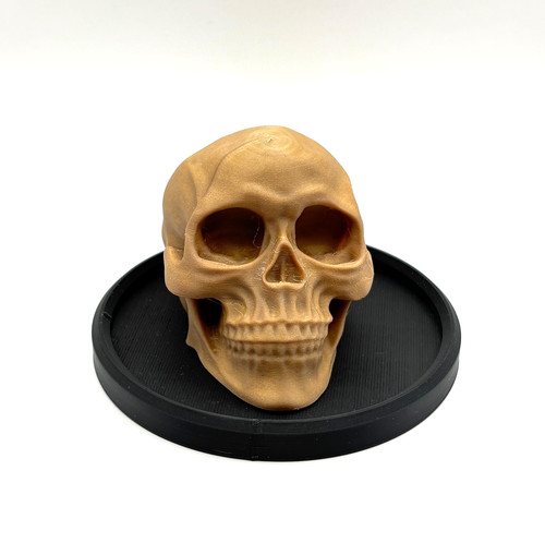 Gothic skull head - skull, decorative