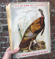 1946 the birds america - 1946, america-
