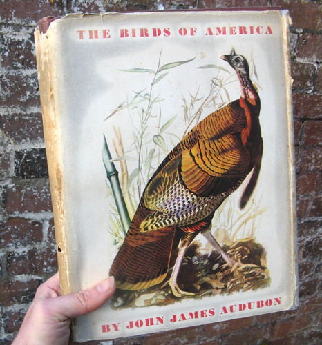 1946 the birds america - 1946,