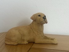 Border fine arts Labrador
