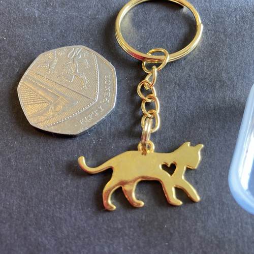 Gold coloured cat with - x,