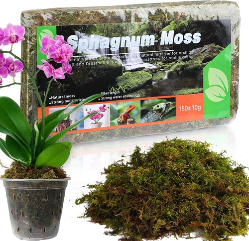 Natural sphagnum moss for - natural,