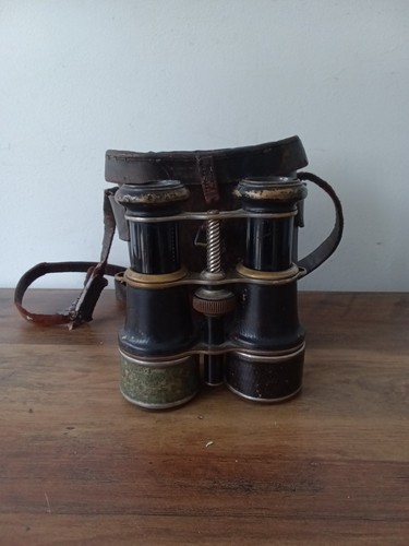 Pair vintage field - vintage,