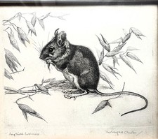 WINIFRED AUSTIN ORIGINAL