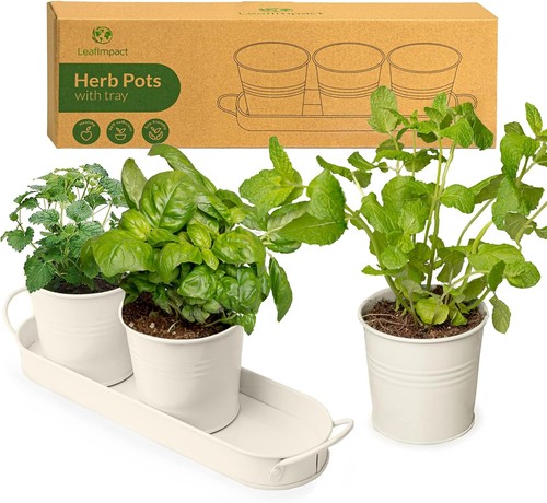 Herb planter indoor pots - pots, for