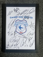 Cardiff City FC Football Club