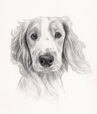 8 x 6" Custom Pencil Pet